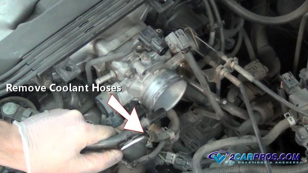 remove coolant hoses