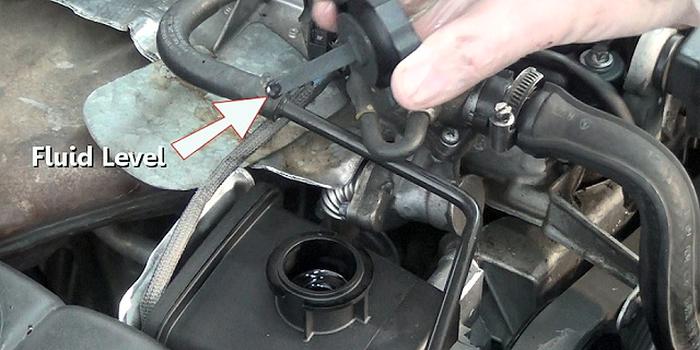 steering fluid level