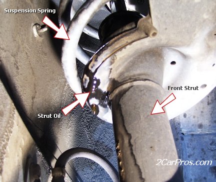 Front Strut Leakage
