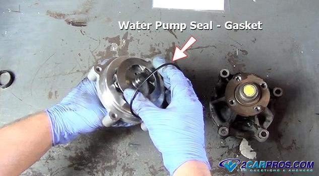 water pump gasket