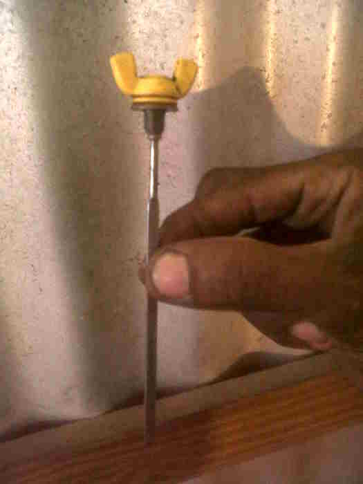 Attached Media