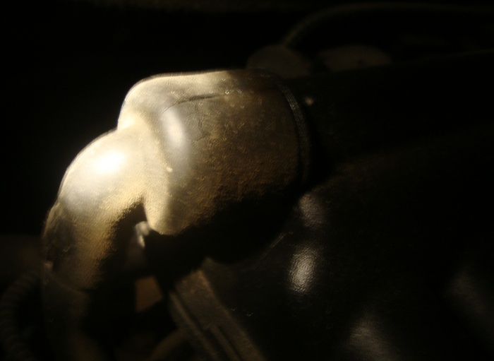 Attached Media