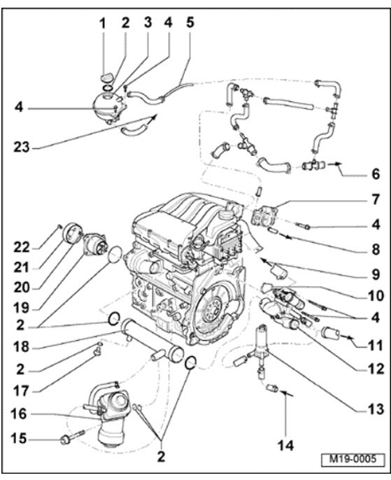 Attached Media