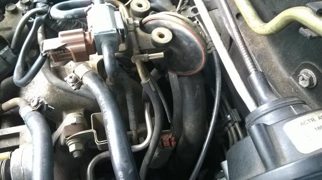 Attached Media