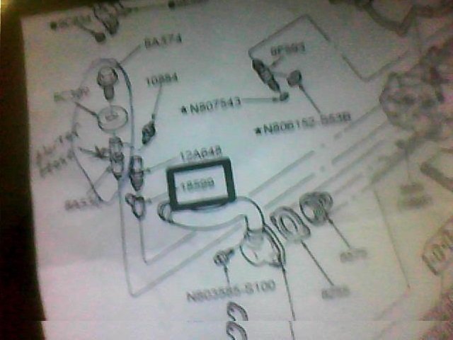 Attached Media