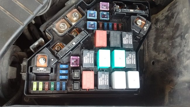 Attached Media