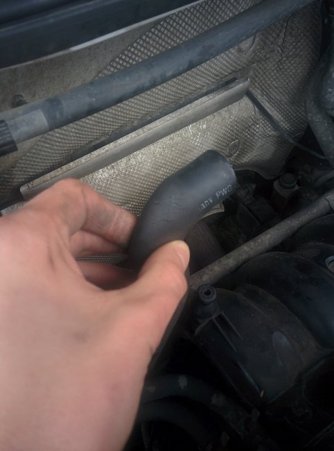 Attached Media