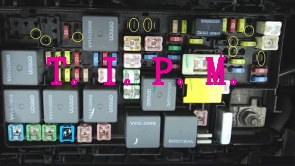 Attached Media