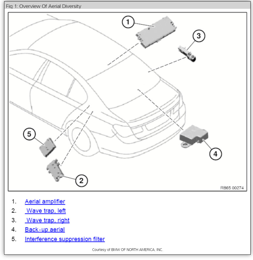 Attached Media