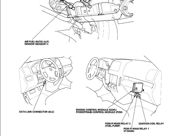 Attached Media