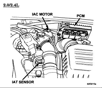 Attached Media