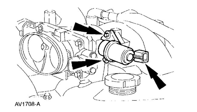 Attached Media