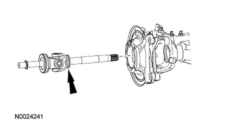 Attached Media