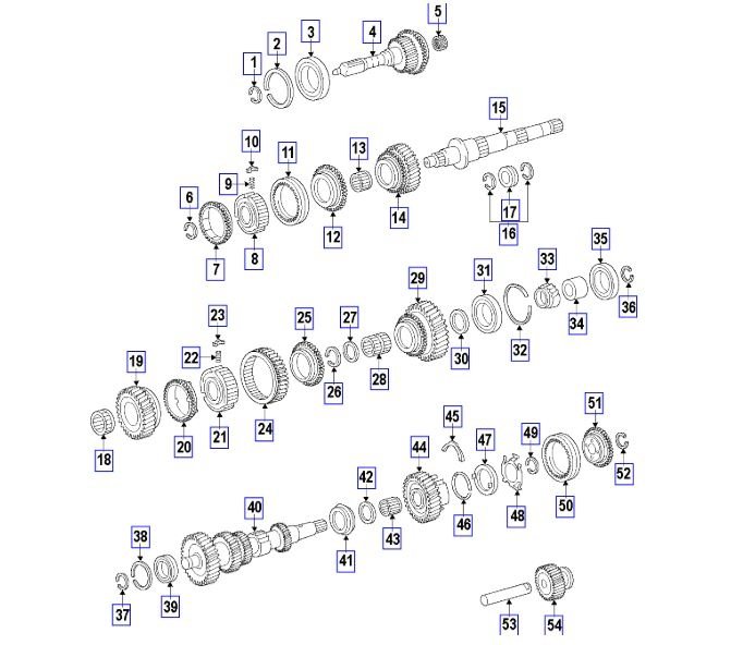Attached Media