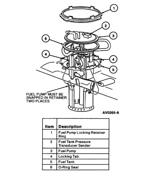 Attached Media