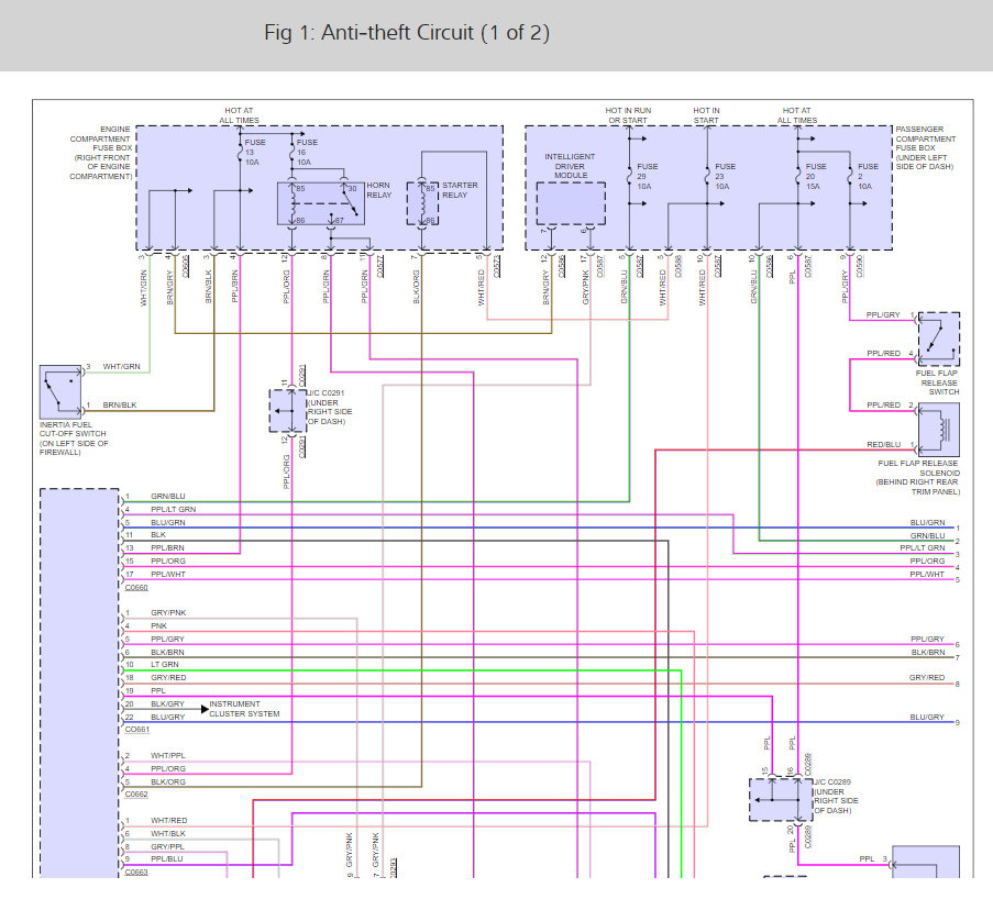Attached Media