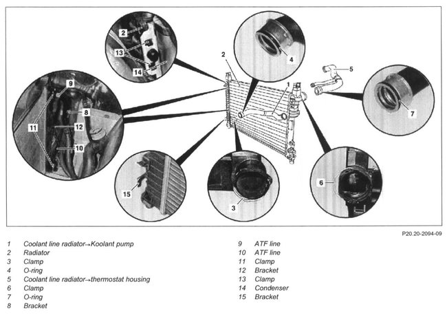 Attached Media
