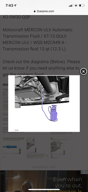 Attached Media