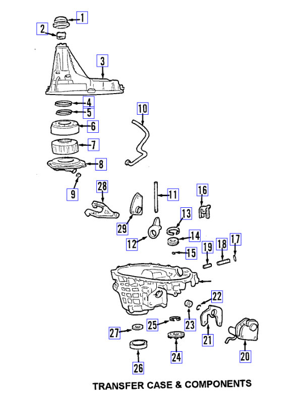 Attached Media