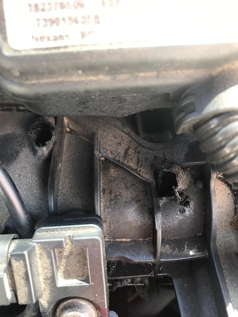 Attached Media