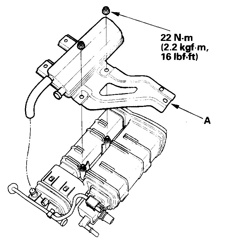 Attached Media