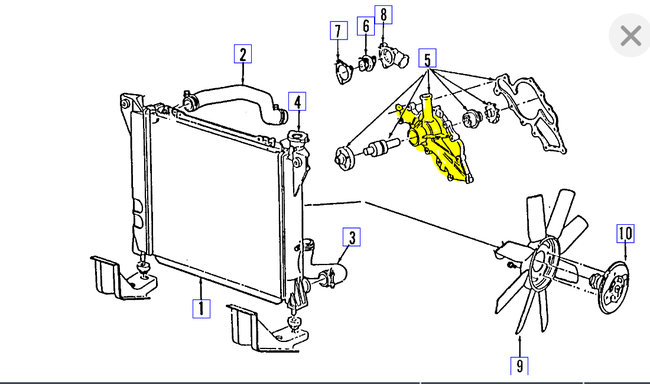 Attached Media