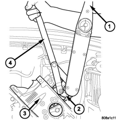 Attached Media