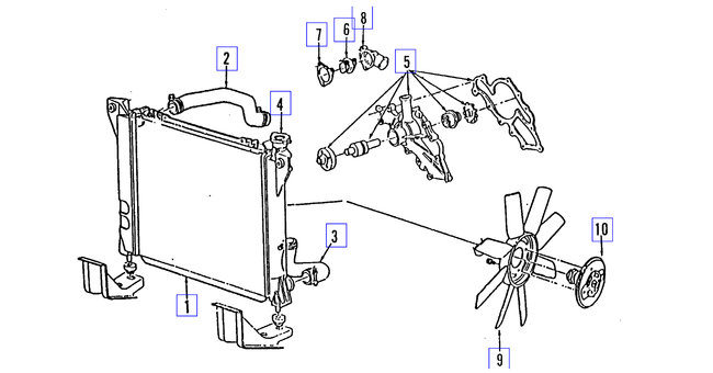 Attached Media