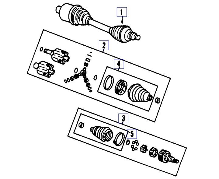 Attached Media