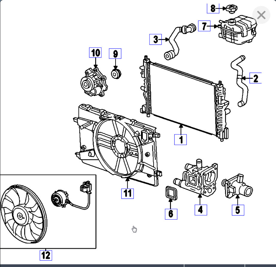 Attached Media