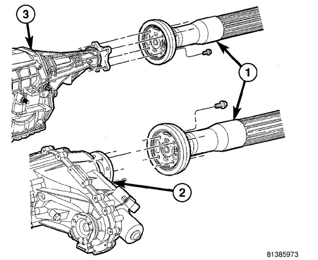 Attached Media