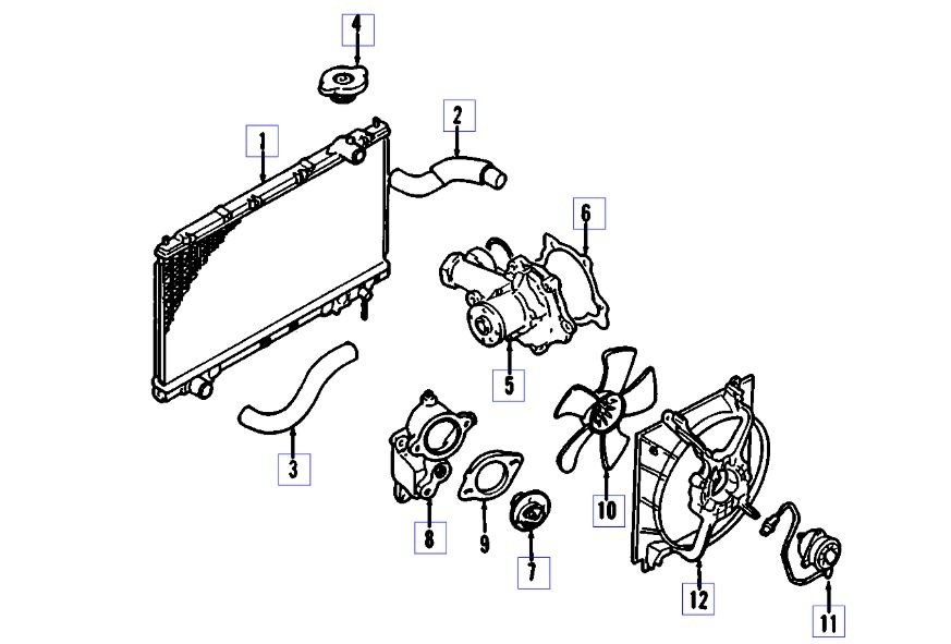 Attached Media