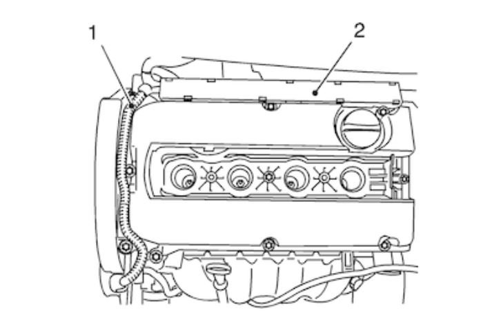 Attached Media