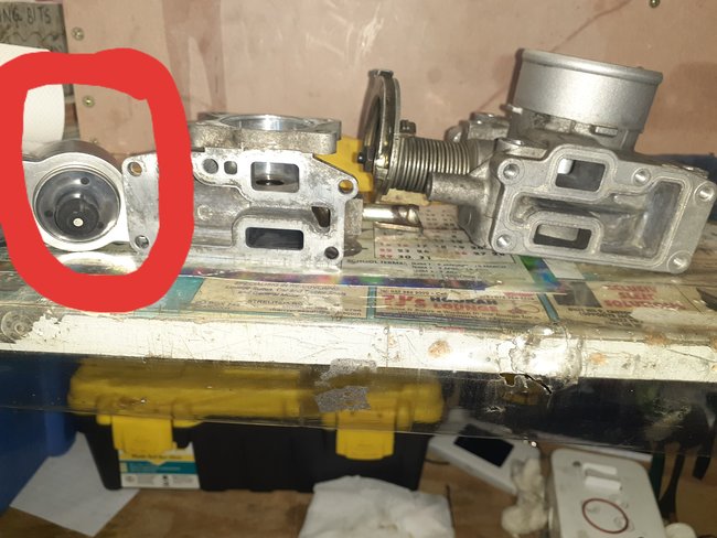 Attached Media