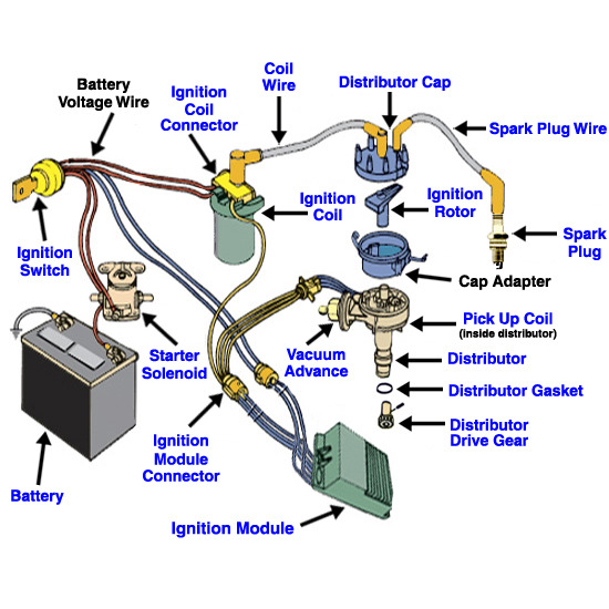 Attached Media