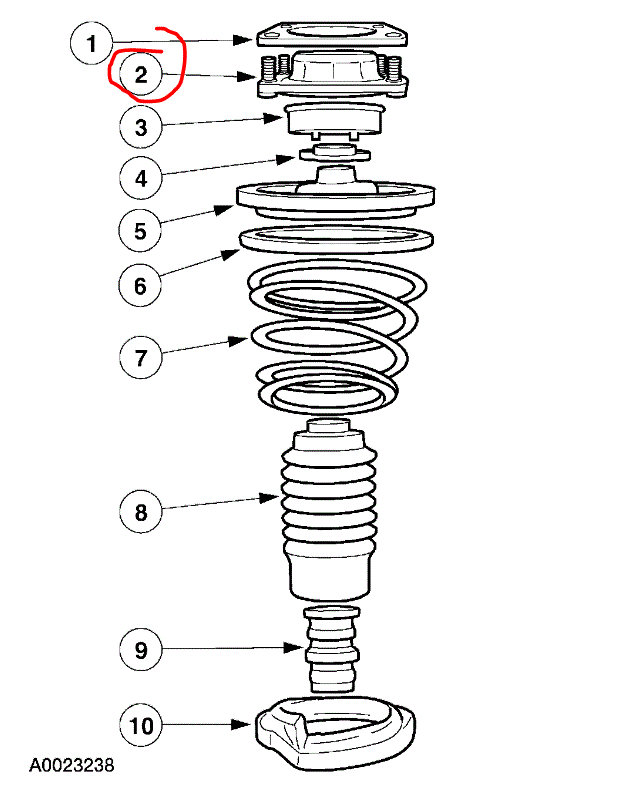 Attached Media