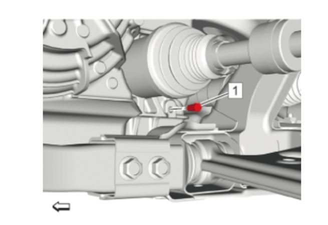 Attached Media