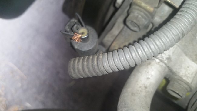 Attached Media
