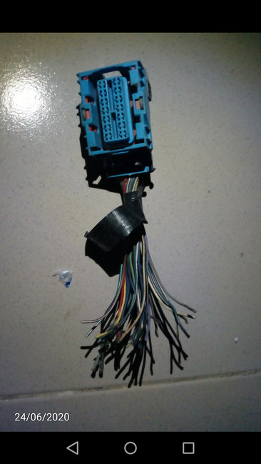 Attached Media