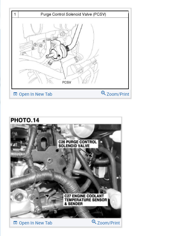 Attached Media