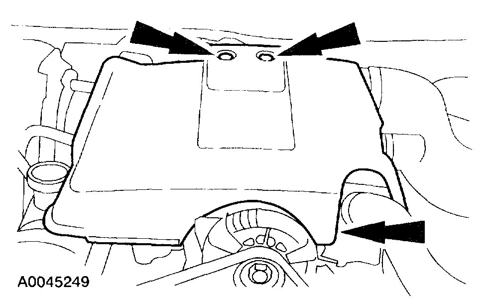 Attached Media