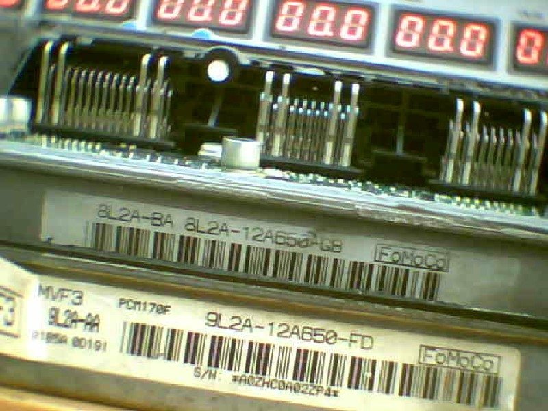 Attached Media