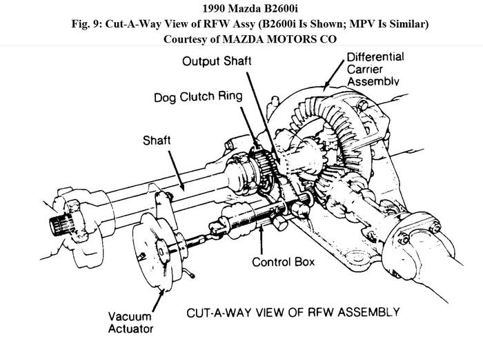 Attached Media