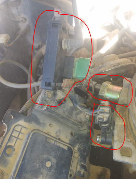 Attached Media
