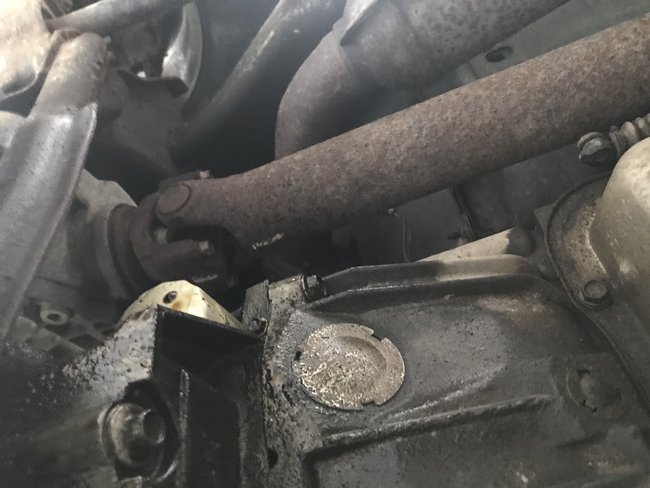 Attached Media