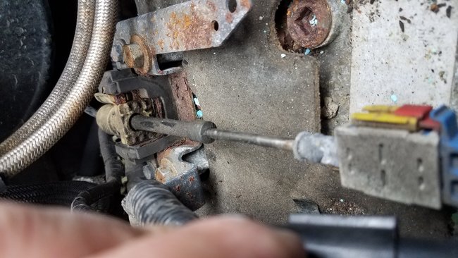 Attached Media
