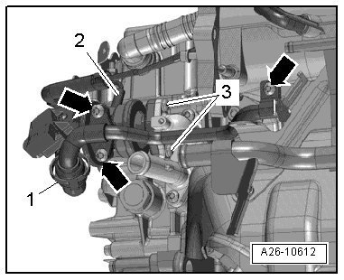 Attached Media