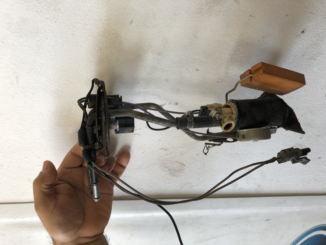 Attached Media