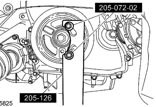 Attached Media