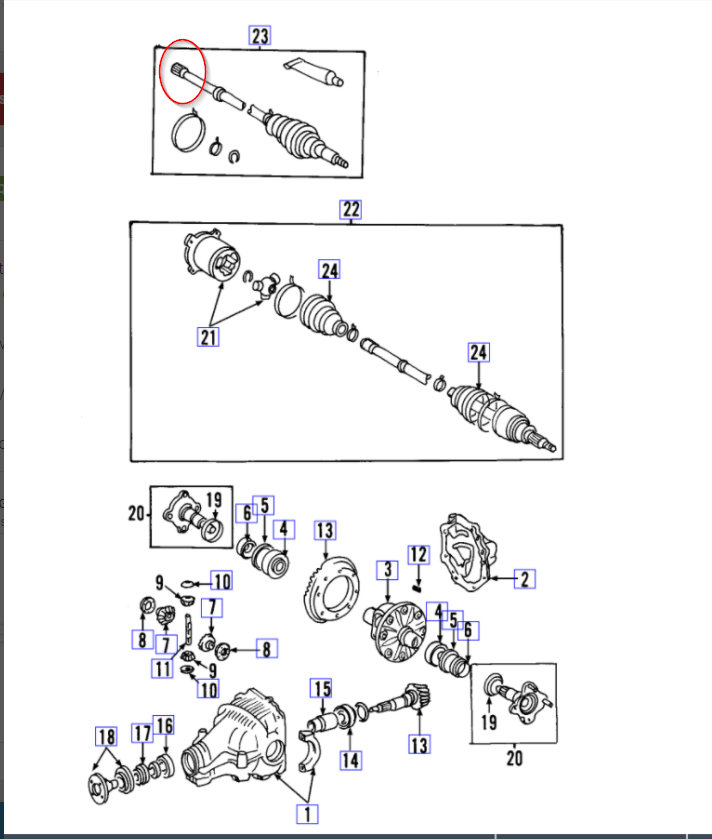 Attached Media
